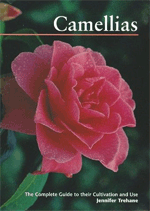 Camellias - Jennifer Trehane