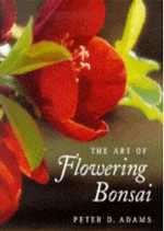 The Art of Flowering Bonsai - Peter D. Adams