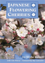 Japanese Flowering Cherries - Wybe Kuitert 
