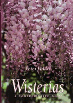 Wisterias - Peter Valder 