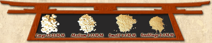 Bonsai_Soil_Samples